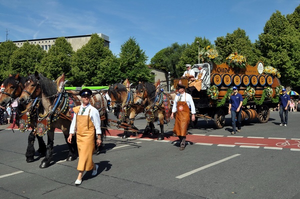 Schuetzenausmarsch 2009   083.jpg